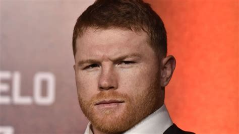 Canelo alvarez sale